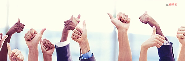 哪个教务管理系统的功能比较好？